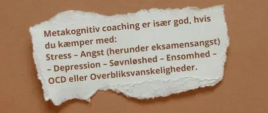 terapiordbogen om metakognitiv terapi