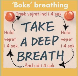 Rolig Nu Mindfulness i Terapiordbogen