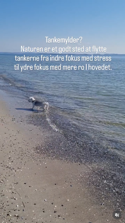 Naturen er et godt sted at flytte tankerne fra indre fokus på tankemylder til ydre fokus på nydelsen af naturen lige nu