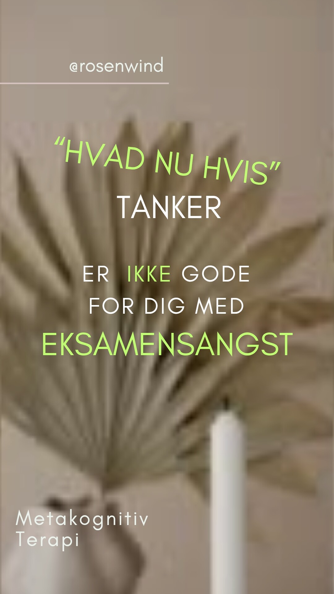 mød foråret uden eksamensangst reel (din historie) 20260916 084949 0000